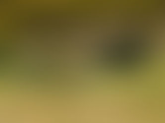 Büyükşehir sınırına giren arazi; aynı toprak, farklı kurallar.