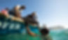 Copy of IANK0387_edited.jpg