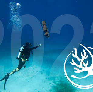 DIVING INTO 2022
