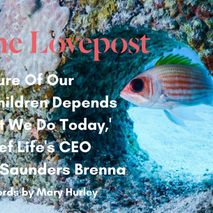 LovePost Global Story Featuring IntelliReefs Bio-mimicking Ocean Habitat Technology