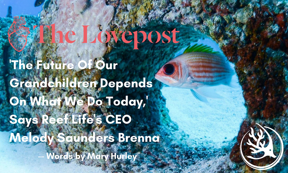 LovePost Global Story Featuring IntelliReefs Bio-mimicking Ocean Habitat Technology