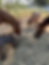 Healing Women's Hearts With Horses
