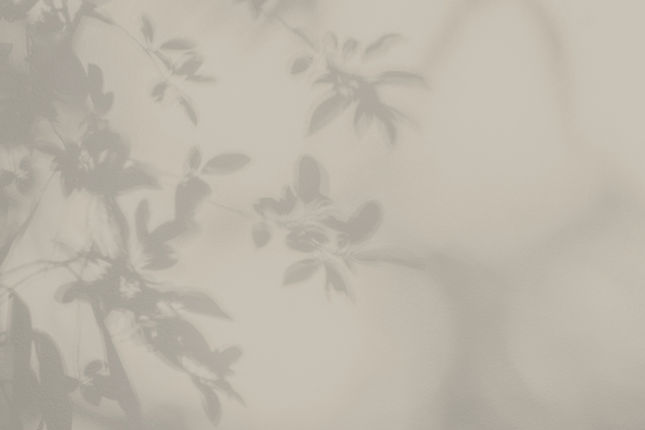 B. Ana Designs