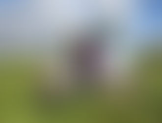 ROAD TO LAND OF HOPE