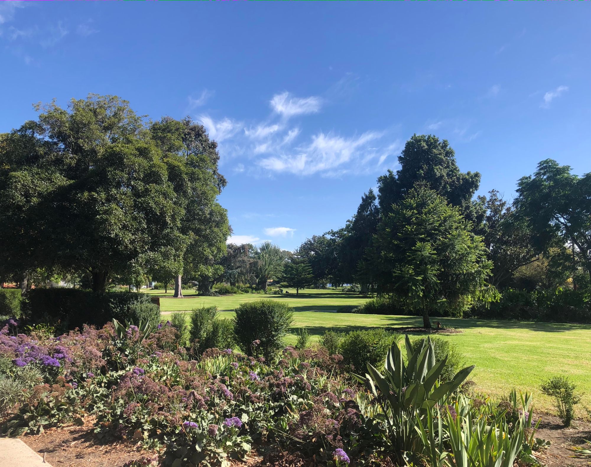 Lawns, mature trees and flowering beds in the H.V. McKay Memorial Gardens
