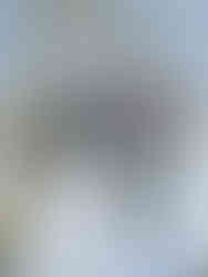 Altitude Formation Pylône HTB - Synergy peinture