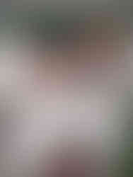 formation catenaire - paris Sud - NGE