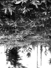 PICT0080.jpg