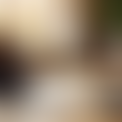 Exploring Online Mental Health Care Options