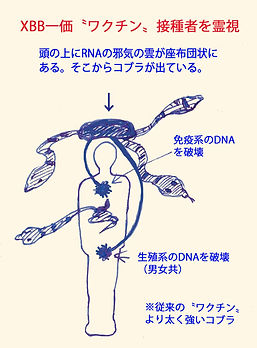 XBB一価ワクチン接種者のオーラ.jpg