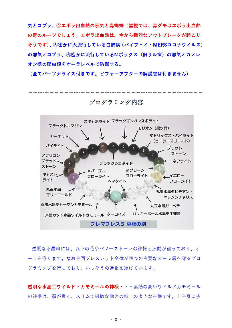 プレマブレス5.p03.jpg