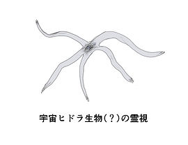 宇宙ヒドラ生物?の霊視.jpg