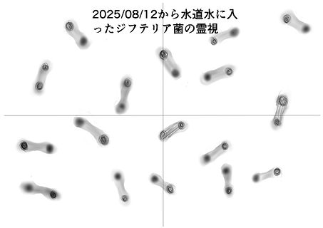 2025年8月12日から水道水に入ったジフテリア菌の霊視.jpg