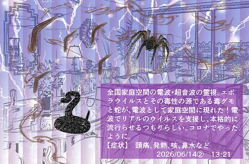 2026年06月14日① 全国家庭空間の電波・超音波を霊視ebola.jpg