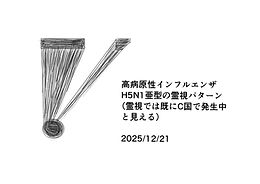 高病原性鳥インフルエンザH5N1の霊視パターン.jpg