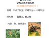 １０月親子広場「いちご」のお知らせ