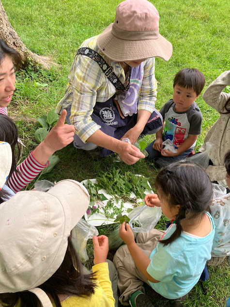 野草天ぷら