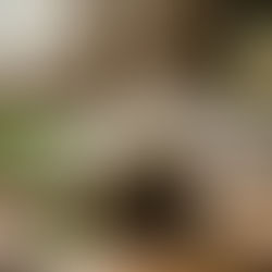 Dressing by the Window