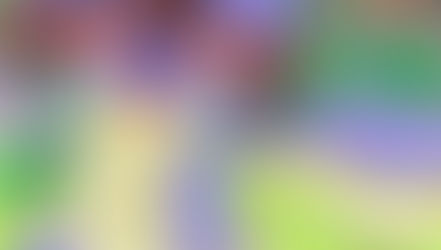 STATUS REPOwORT - 20260504 - 20260510