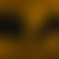 STATUS REPOwORT - 20260209 - 20260215