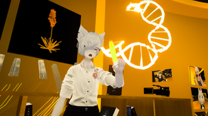 STATUS REPOwORT - 20260601 - 20260615