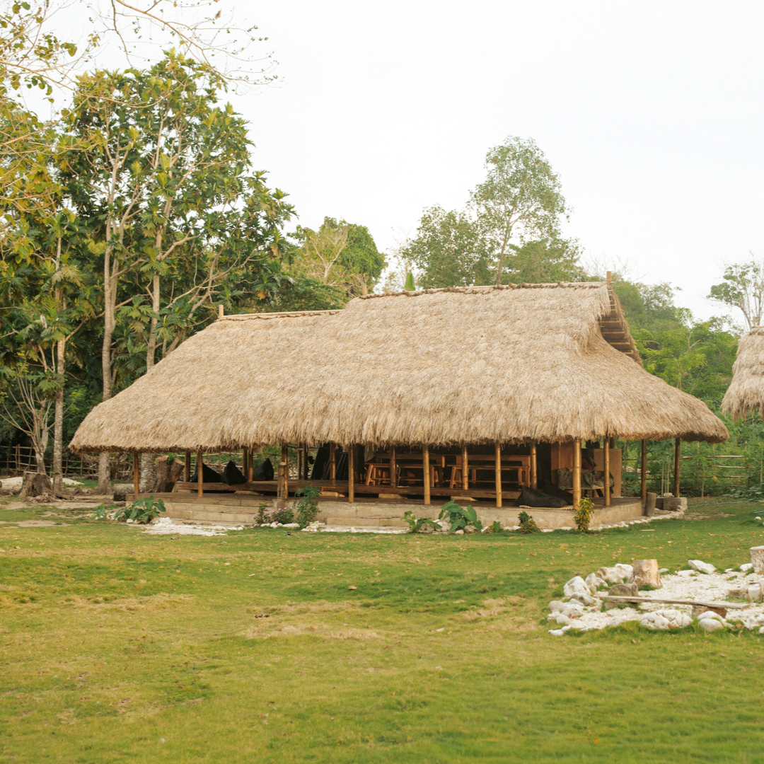 Writer: Betelnut Eco Lodge