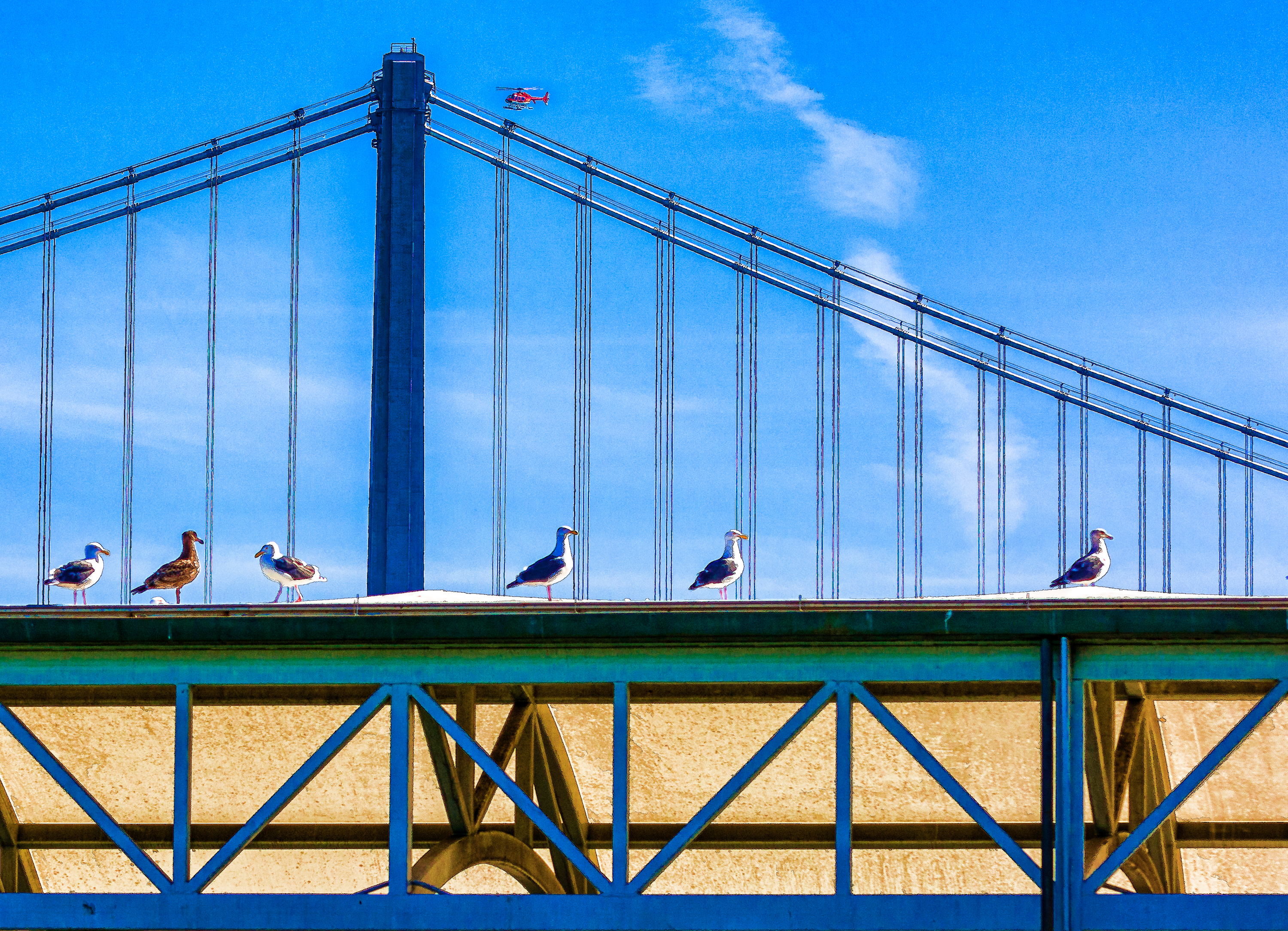 Birds and Whirlybird at Bay Bridge