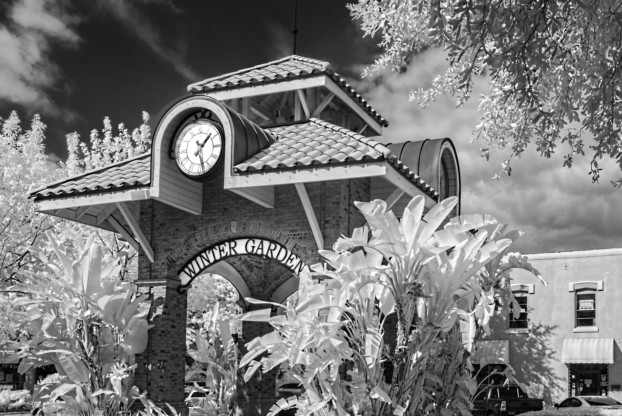 Clock Tower in Black and White