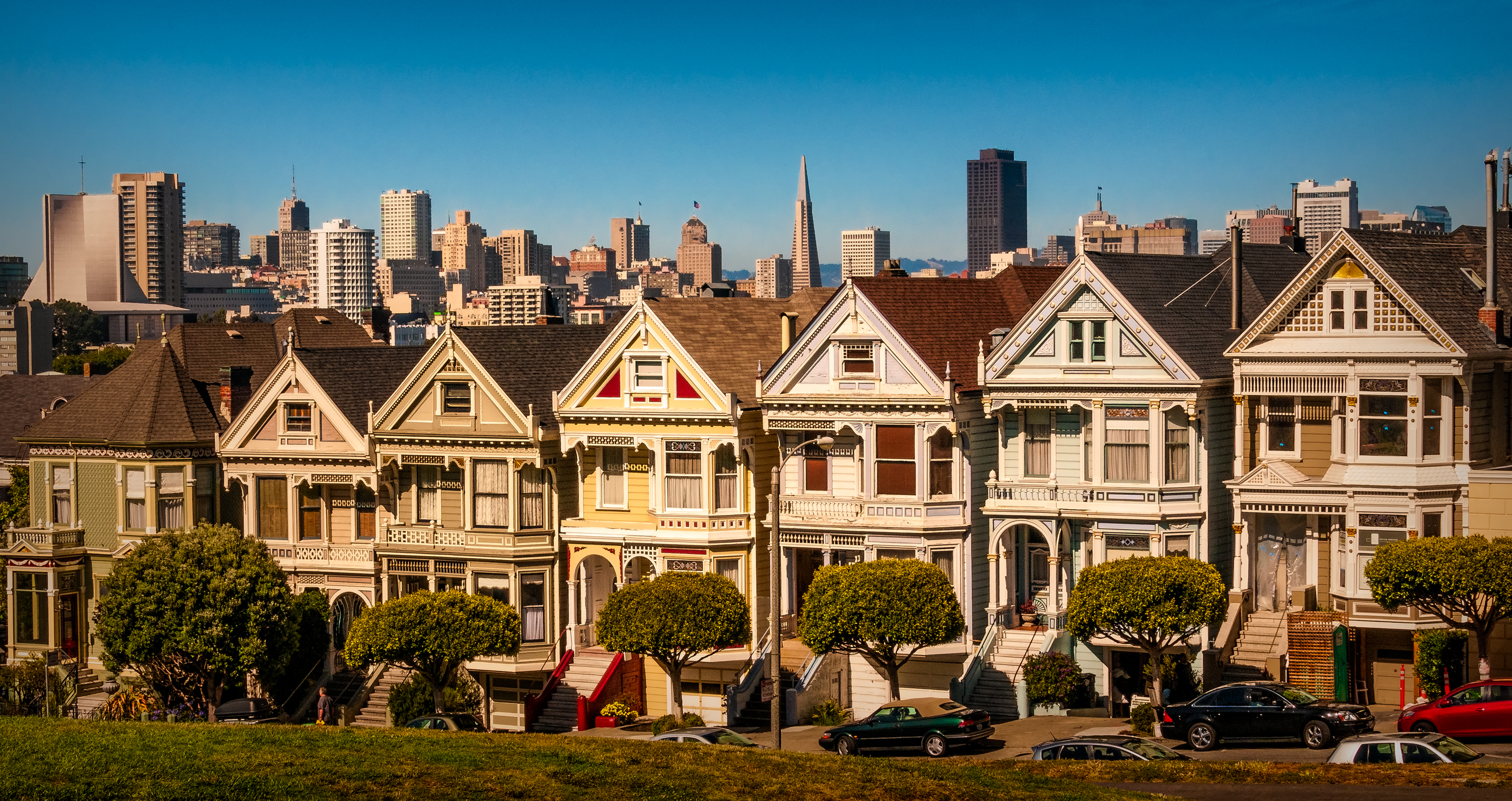 Painted Ladies