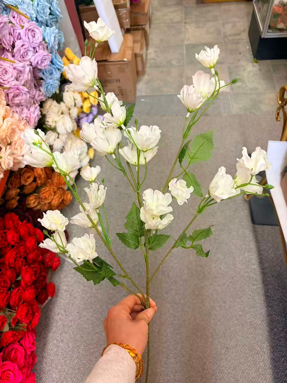 Thumbnail: Long Wild Flowers