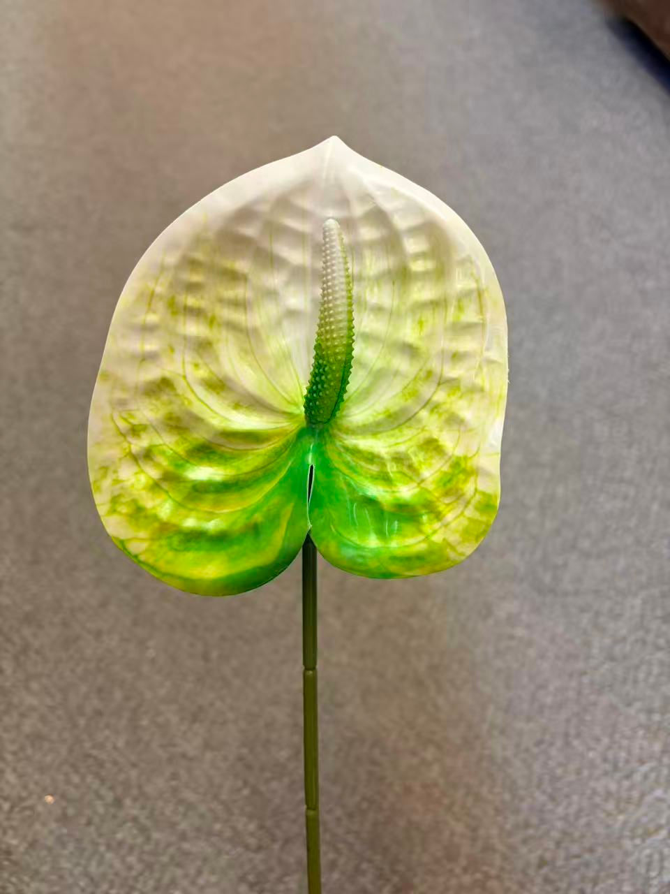 Thumbnail: Anthurium