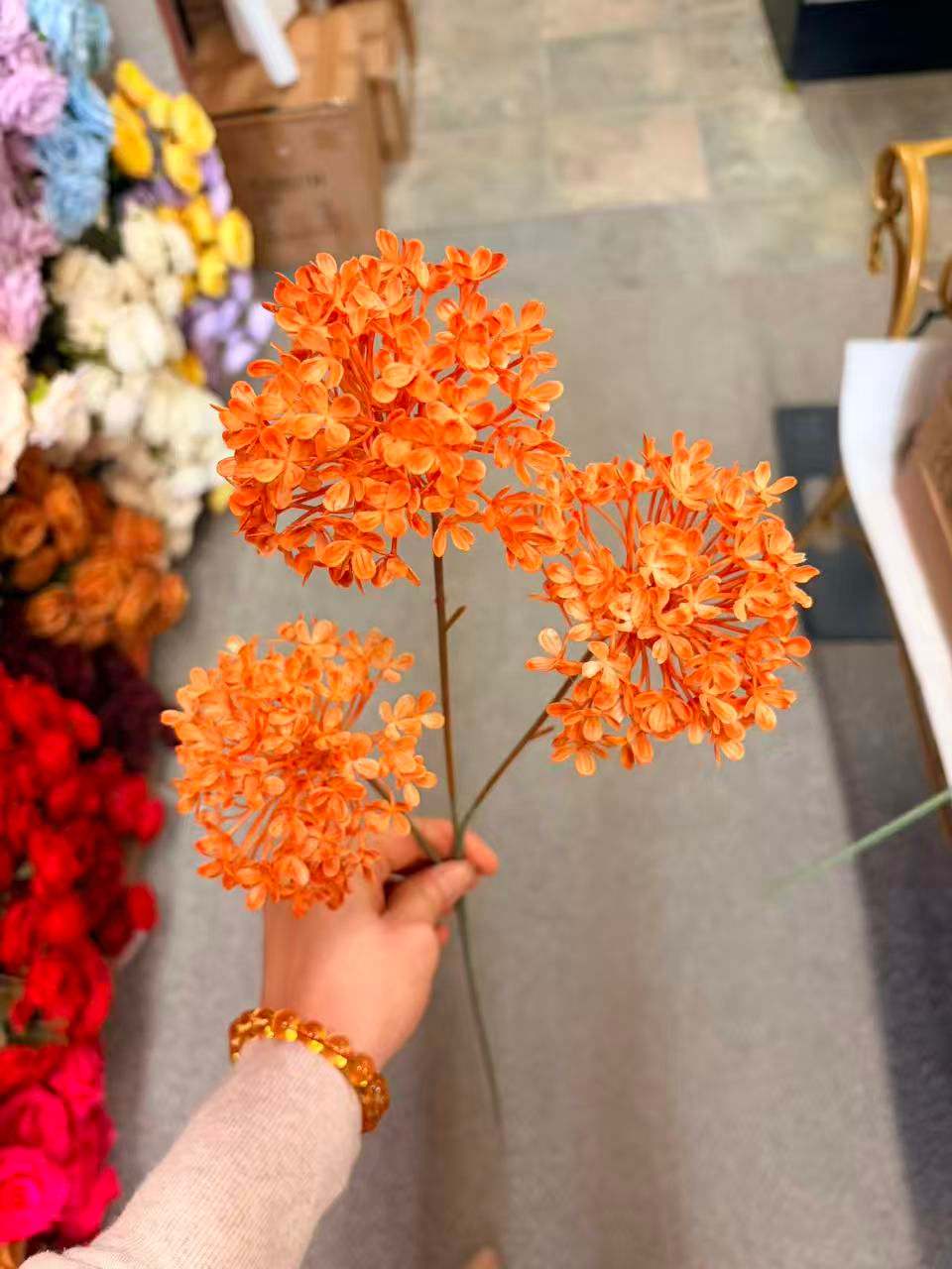 Thumbnail: 3 H Wild Hydrangeas 