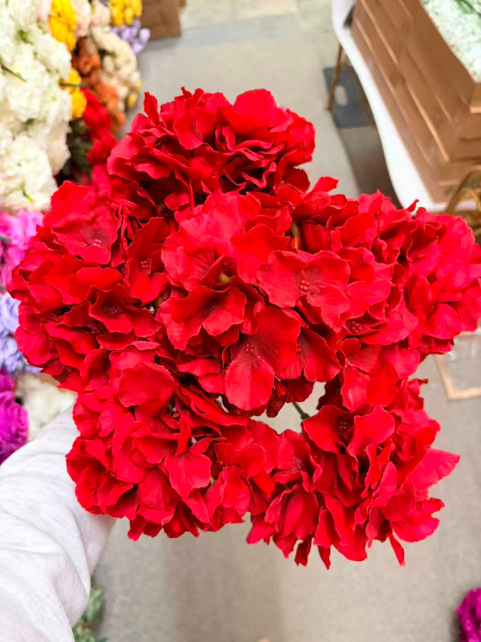 Thumbnail: Hydrangeas 