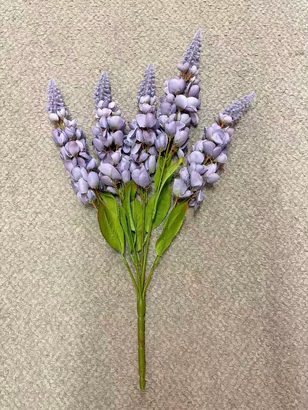 Thumbnail: 5 H Delphinium