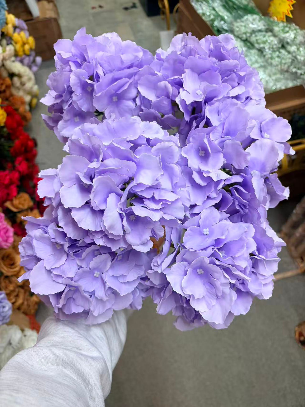 Thumbnail: Hydrangeas 