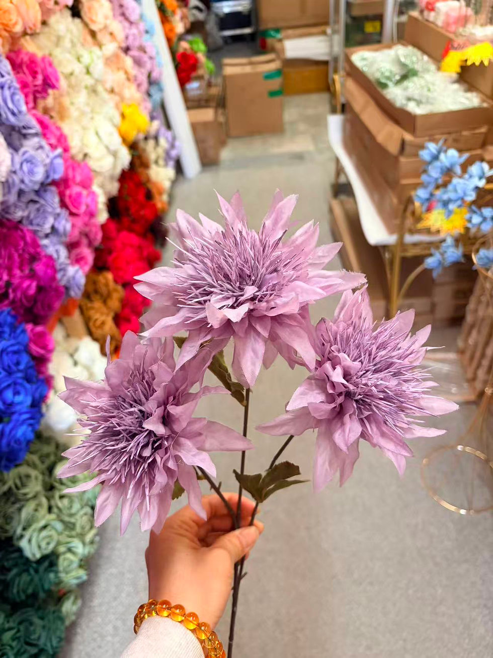 Thumbnail: 3 H Long  Anemone Flower