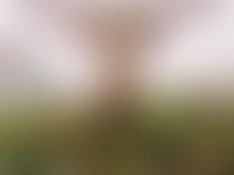 Explore the Best Singapore Holiday Packages for a Perfect Getaway