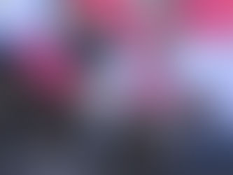 芋掘りに行ってきました