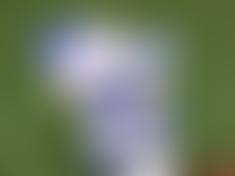 Sponsor Giveaways - Let's Get Creative