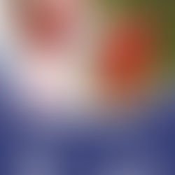 Fußball Camp 2022 - Chiemgauer Fußball Akademie