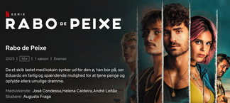 Image showing Netflix title of Rabo de Peixe translated into Danish
