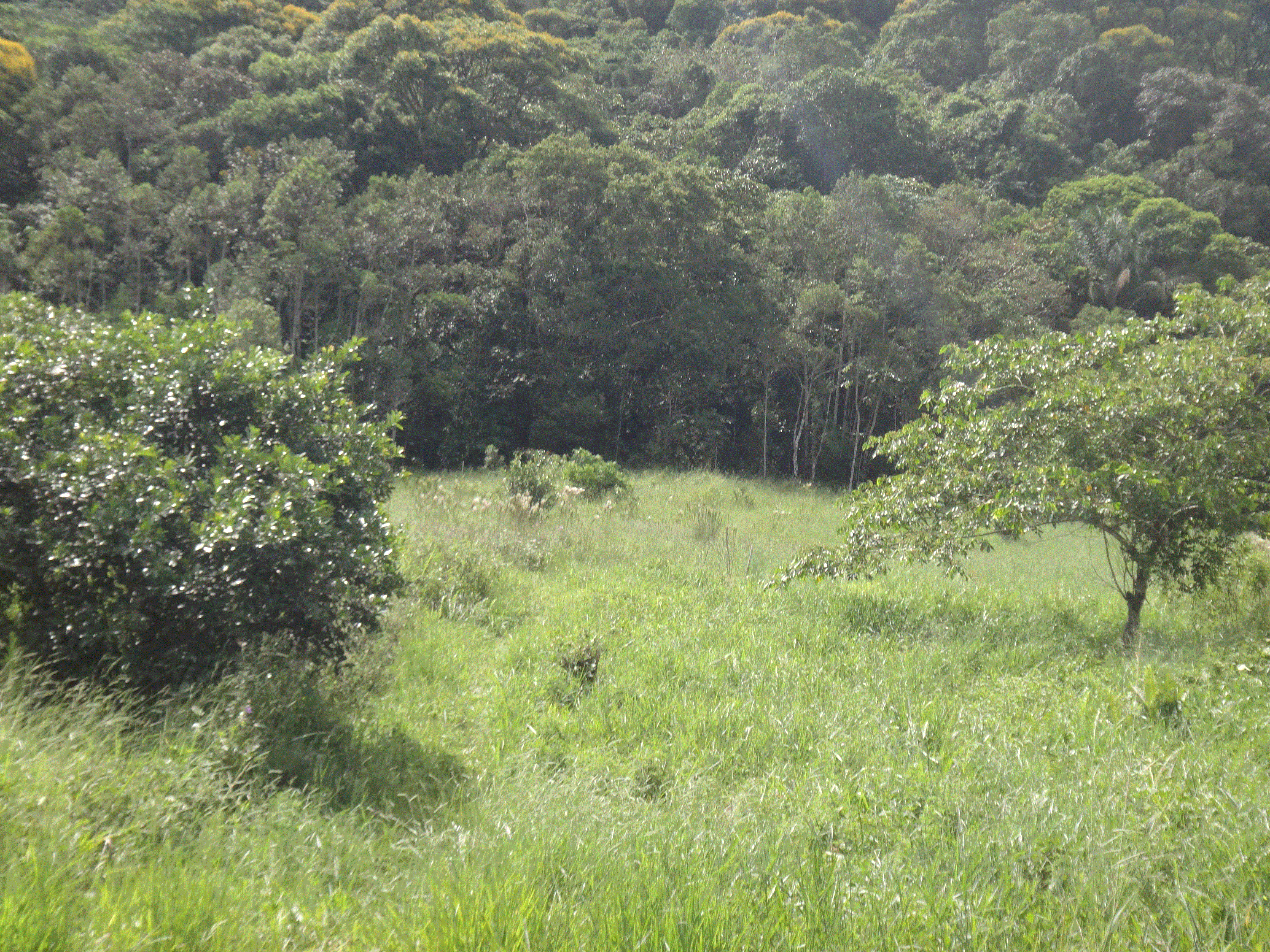 DSC04503.gif