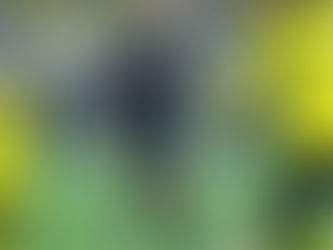 Messi gana su 46to trofeo, al conquistar con el Inter Miami el Supporters' Shield |