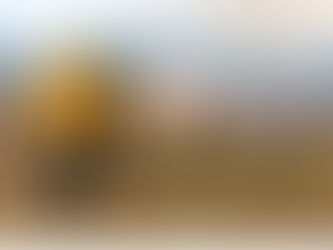 Más de mil 100 hectáreas afectadas por incendios forestales en SLP |