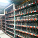 ¡Tenían 300 computadoras robándose la luz de una presa para minar criptomonedas!
