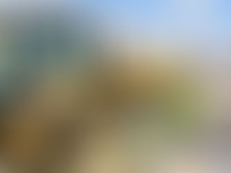 Gobierno de la Capital remedia tiradero clandestino en Camino Real a Guanajuato |