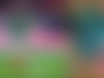 ¡El último Baile con el Tri! Andrés Guardado volverá a ser convocado por Javier Aguirre |