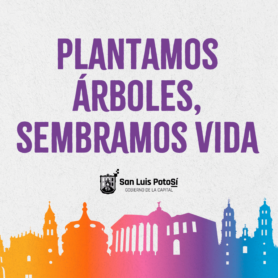 Version-3-Cuadrado-900x900.gif
