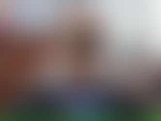 Rolando "N" exdiputado panista pagaría 6 millones de pesos para obtener el arresto domiciliario |