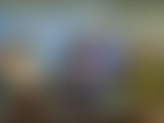 Coordinación de seguridad: mandato constitucional que cumple San Luis Capital |